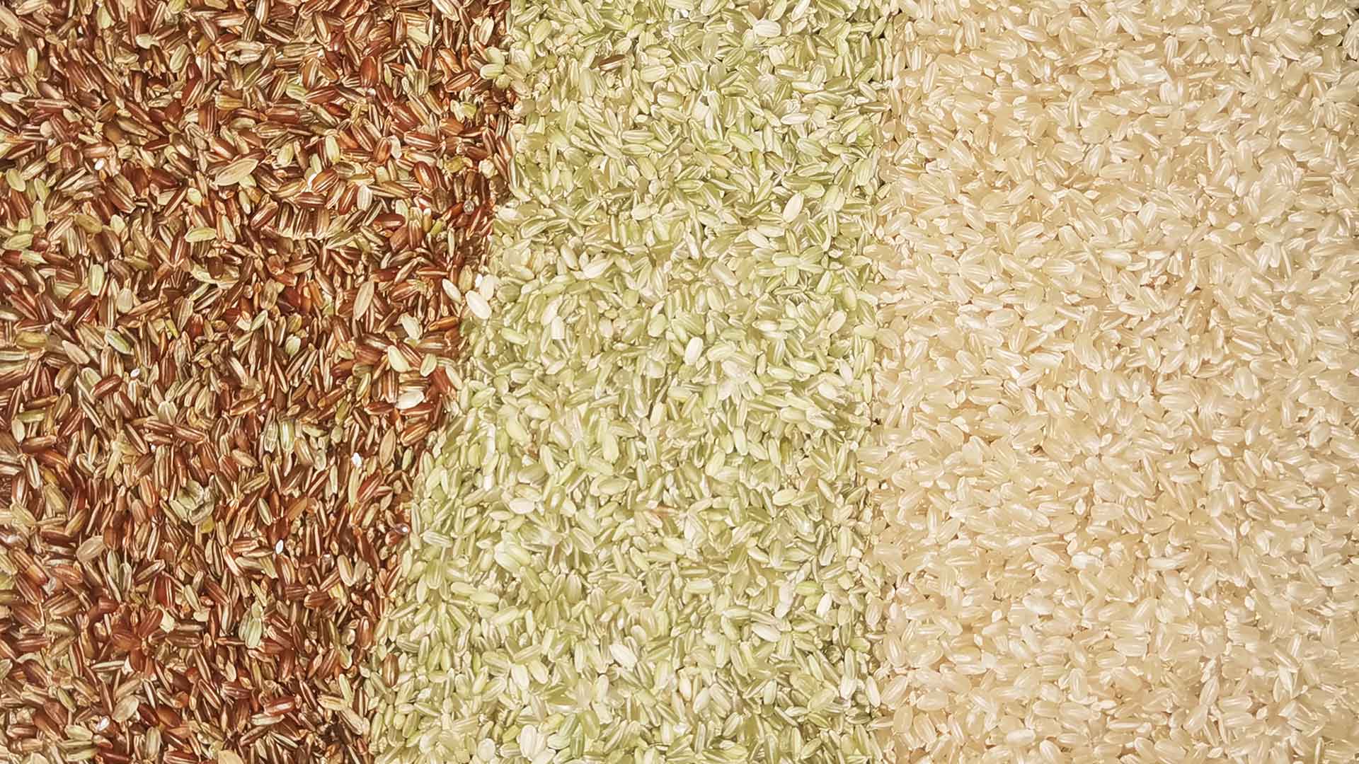 сортировка риса